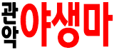 호빠 서울-관악구- 야생마